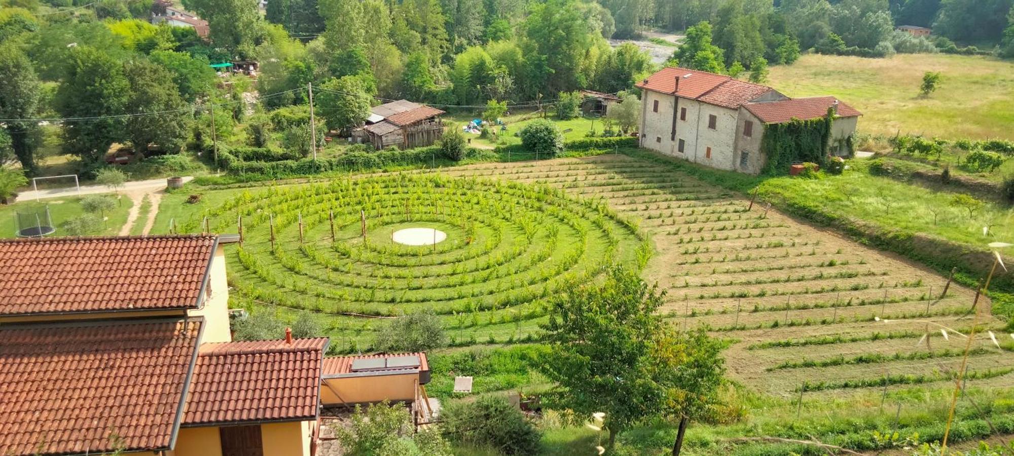Agriturismo Il Poderetto Licciana Nardi Exterior photo
